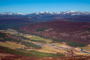 The Cairngorms and the River Dee from Morrone
